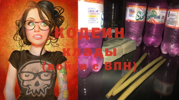 мдпв Дмитровск