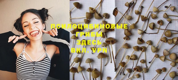 дмт Пролетарск