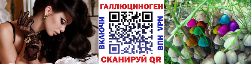 Псилоцибиновые грибы GOLDEN TEACHER  купить закладку  Сельцо 